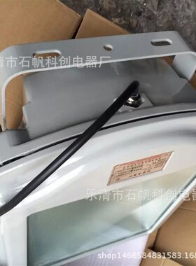 NSC9700防眩通路灯NSC9120 GT002馆大型球场顶灯TZG3530/250W HPS