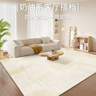防水免洗可擦轻奢高级感沙发地垫奶油风卧室家用 地毯客厅2024新款