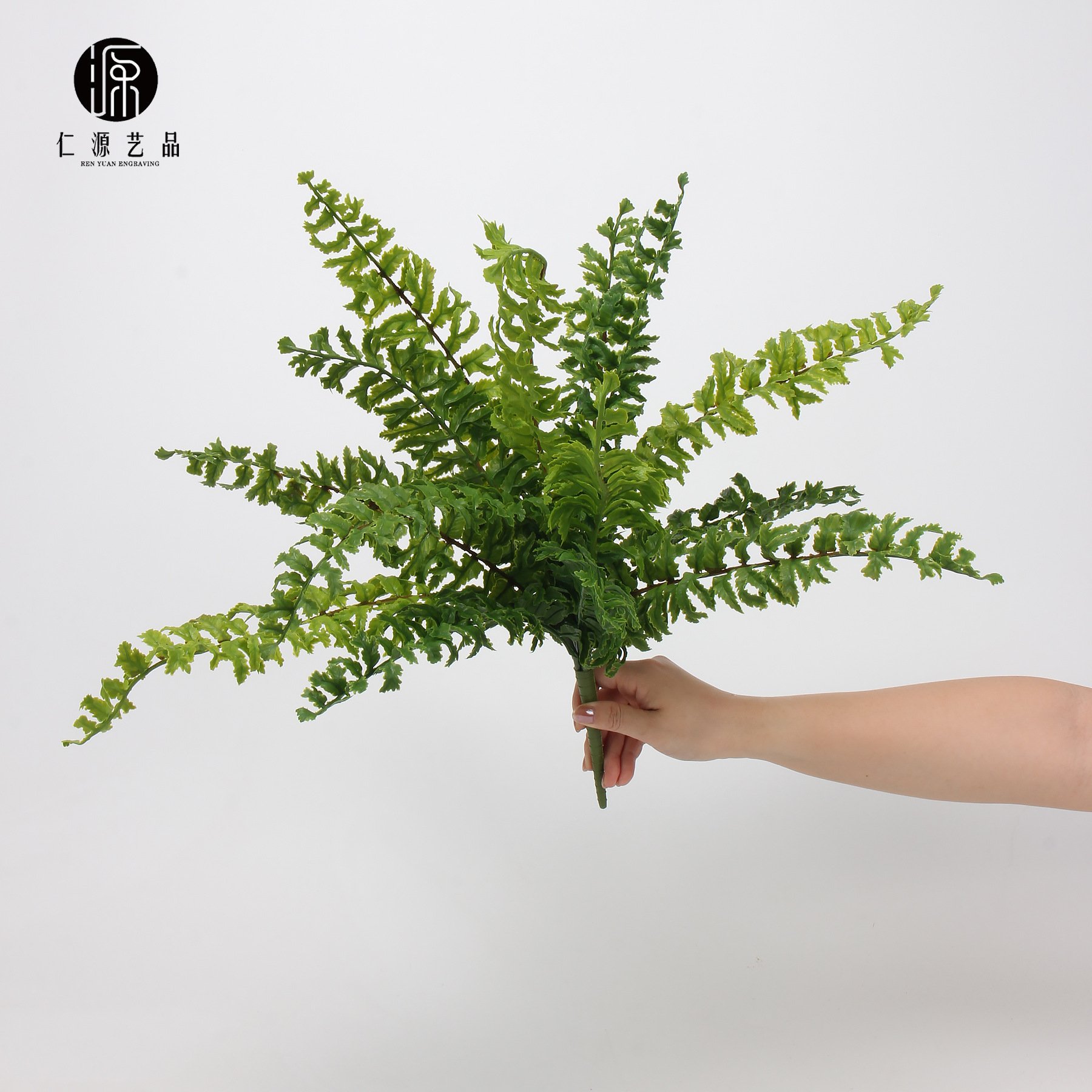 工厂直销 仿真蕨类植物珊瑚蕨铁线蕨银线蕨室内造景绿植仿生花艺