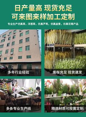 插花摆设仿真植芦苇花婚庆绿GML装地饰苇场景布置假花干花大束落