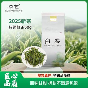 2025新茶安吉森艺白茶正宗白茶50g散装 尝鲜 绿茶春茶茶叶官方正品