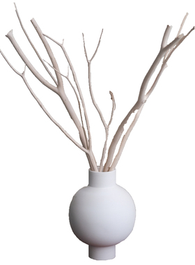 侘寂风白色干燥树枝枯枝艺高级感耶诞桌面家居装饰客厅摆设
