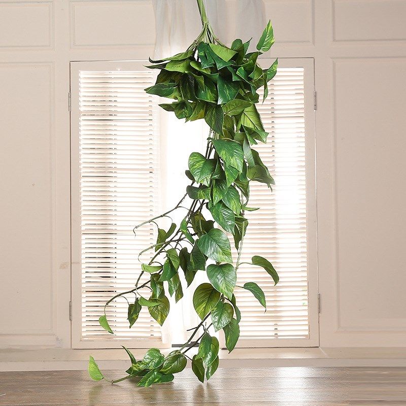 仿真藤条绿萝 仿真花壁挂假花植物墙家居装饰花仿真绿色植物,鲜花速递/花卉仿真/绿植园艺,仿真绿植,淘宝优惠券,粉丝福利购,淘宝优惠卷