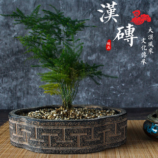 复古汉砖微景g观花盆金钱菖蒲盆粗陶多肉苔藓盆景陶瓷中国风桌摆