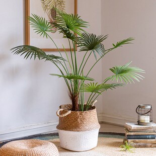掬涵 大型仿真蒲葵扇葵棕榈叶绿植盆景装饰落地客厅