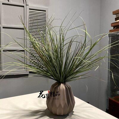 仿真草丛卢苇草菖蒲草昌蒲灌木丛线条型植物田园摆放花艺仿真地被