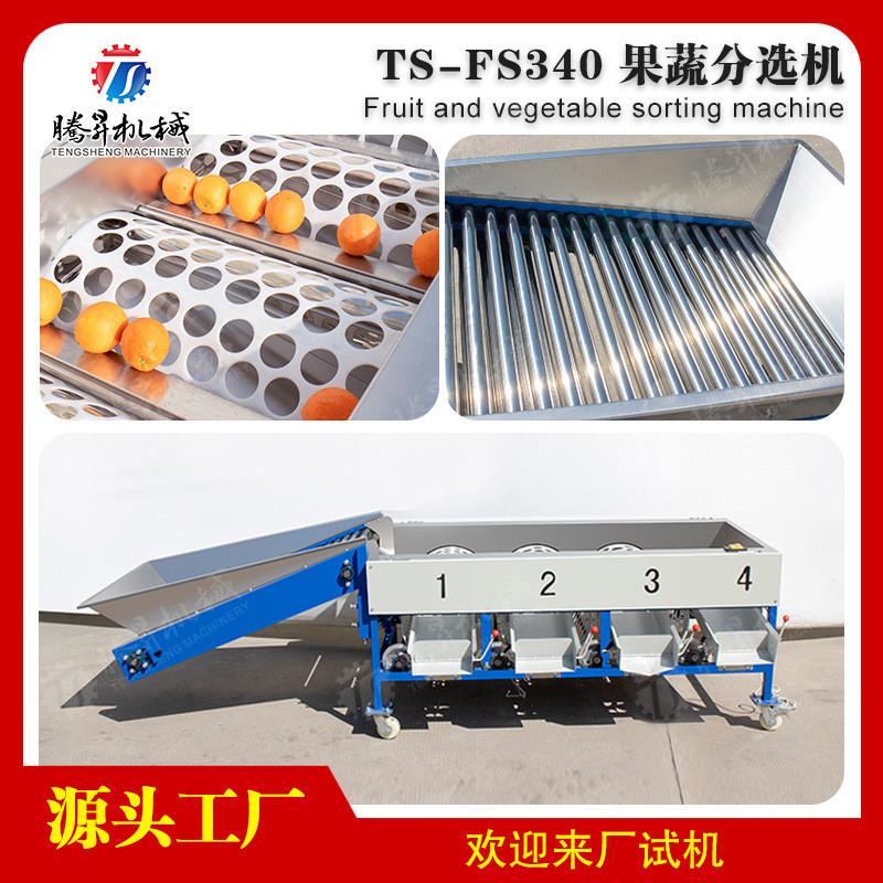 厂家直销水果筛选机滚筒蔬果大小分级机苹果橘子圆形水果分选机