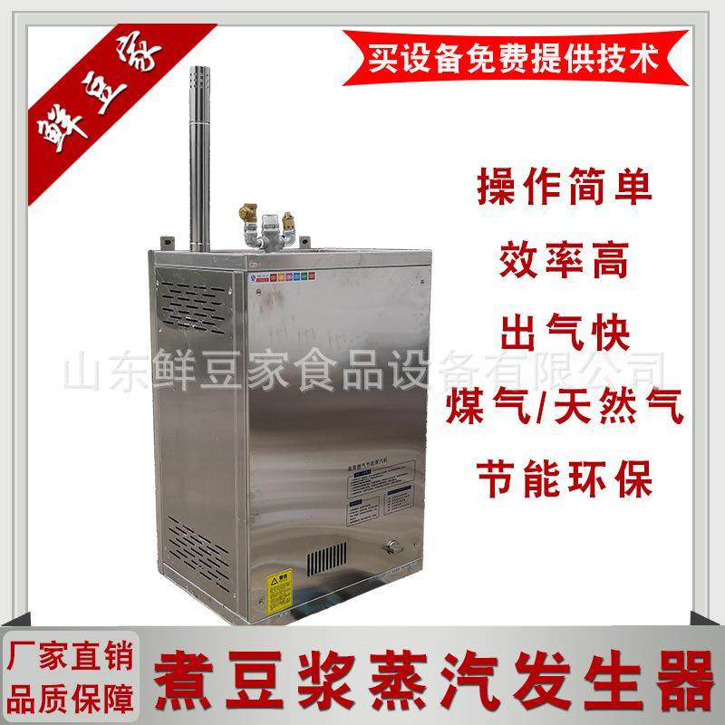 直供蒸汽发生器燃气电加热蒸汽锅炉 商用节能蒸汽机全自动厂家