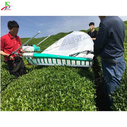 小型双人四冲程采茶机 手持式便携茶园采摘机 汽油动力茶叶收获机