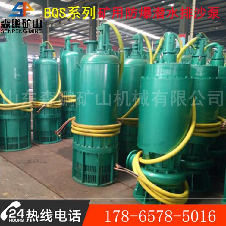 BQS排沙潜水泵 煤矿用排污沙泵 排污排沙潜水泵厂家
