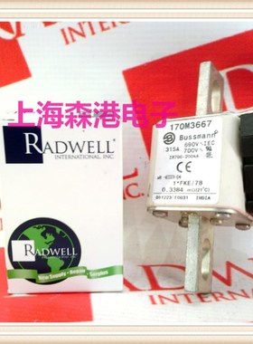 熔断器保险丝底座170M3667