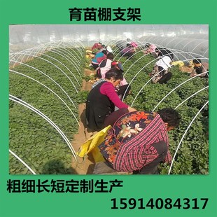 小拱棚支架 农用蔬菜暖棚花卉拱竿骨架拱竿育苗拱棚竿地拱塑料杆