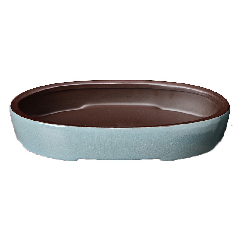 水仙花盆陶瓷无孔大号大口径水培铜钱草一叶莲水养拼盘紫砂盆景盆