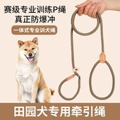 中华田园犬专用狗狗绳子防爆冲P链遛狗牵引绳防挣脱狗链子中大型
