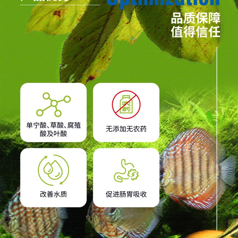 三只小鱼榄仁叶桤木果乌龟龙眼叶懒人叶降酸调节水质Ph值鱼缸造景