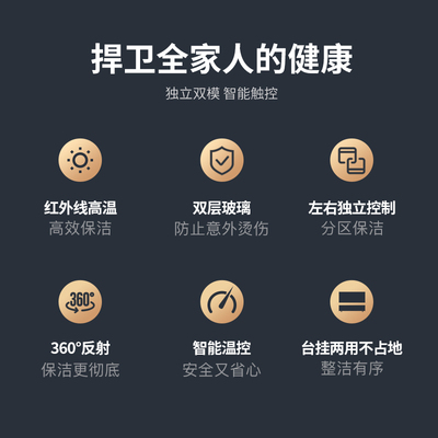 挂墙式消毒柜家用幼儿园口杯壁挂挂壁式柜台式卧式消毒碗柜二星级