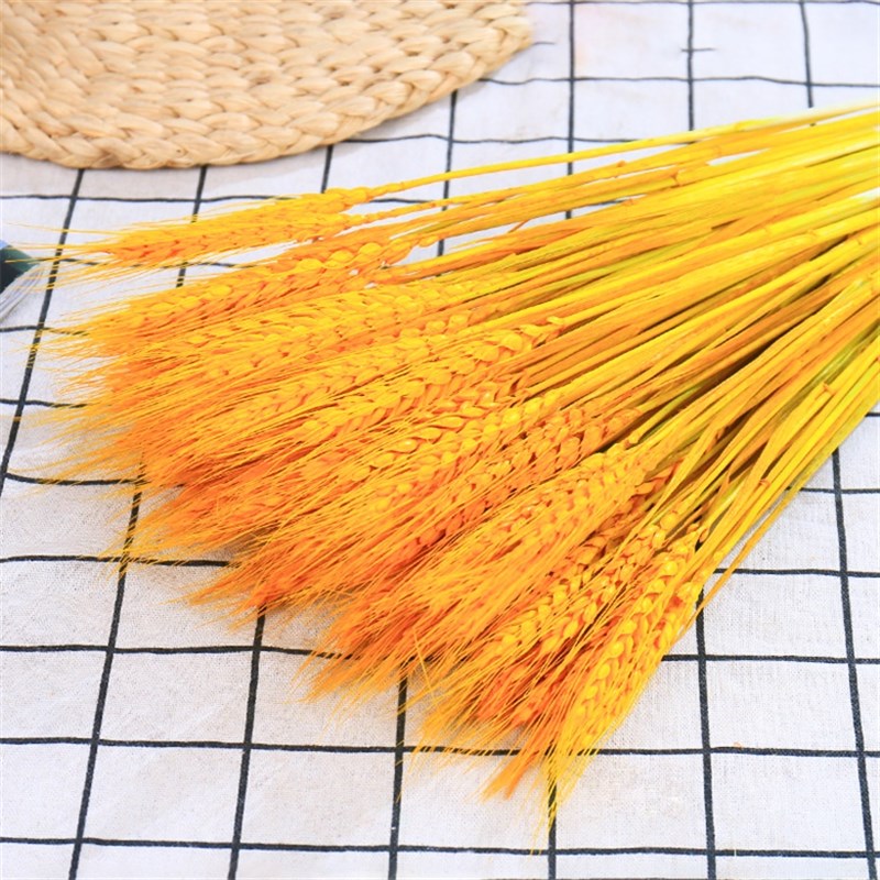 天然麦穗干花花束开业大麦田园装饰摆件拍摄道具稻穗精品干花真花