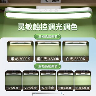 可调节亮度2024年新款台灯学习专用宿舍高中生卧室高颜值可爱女生