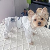 潮查利家宠物狗夏装 防晒衣泰迪比熊约克夏猫咪公母犬防尘清凉薄款