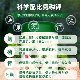 龙血树专用肥料营养液复合肥控释肥颗粒叶子发黄龙须树肥料缓释肥
