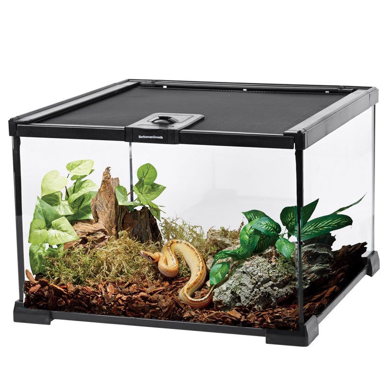 爬宠玻璃饲养缸雨林水陆缸爬虫乌龟守宫蛇角蛙蜥蜴蜘蛛甲虫饲养箱