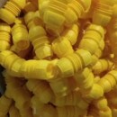 塑料接头水带软管直接快速接头浇水接口取水阀配件接头水管带网接