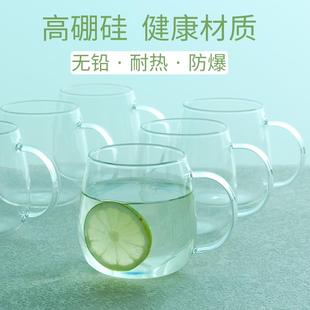 高硼硅无铅玻璃杯子家用带把手简约耐热大容量防爆精致泡茶喝水杯