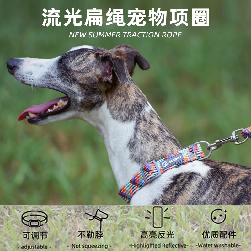 萨摩耶专用项圈牵引绳宠物遛狗狗绳大型中型小型犬狗链子颈套脖圈