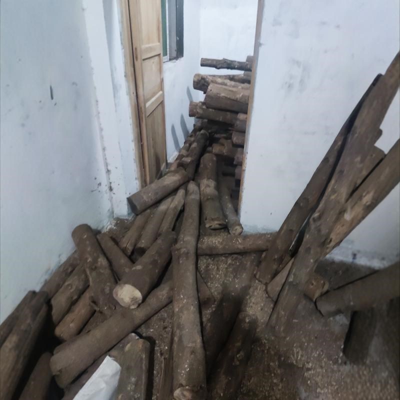 金丝楠木料原木自带香味产地直销正宗四川小叶桢楠原木笔筒料花瓶