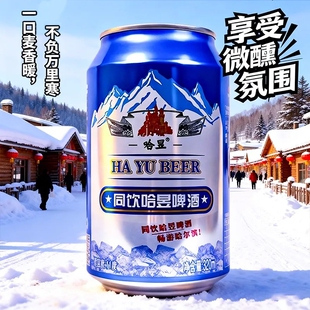 哈昱啤酒320ML泡沫丰富鲜爽整箱特价 正品 低醇啤酒 8罐