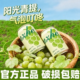 青提葡萄味果汁汽泡水0卡0脂肪320ml清爽饮料整箱送礼 8罐 6罐