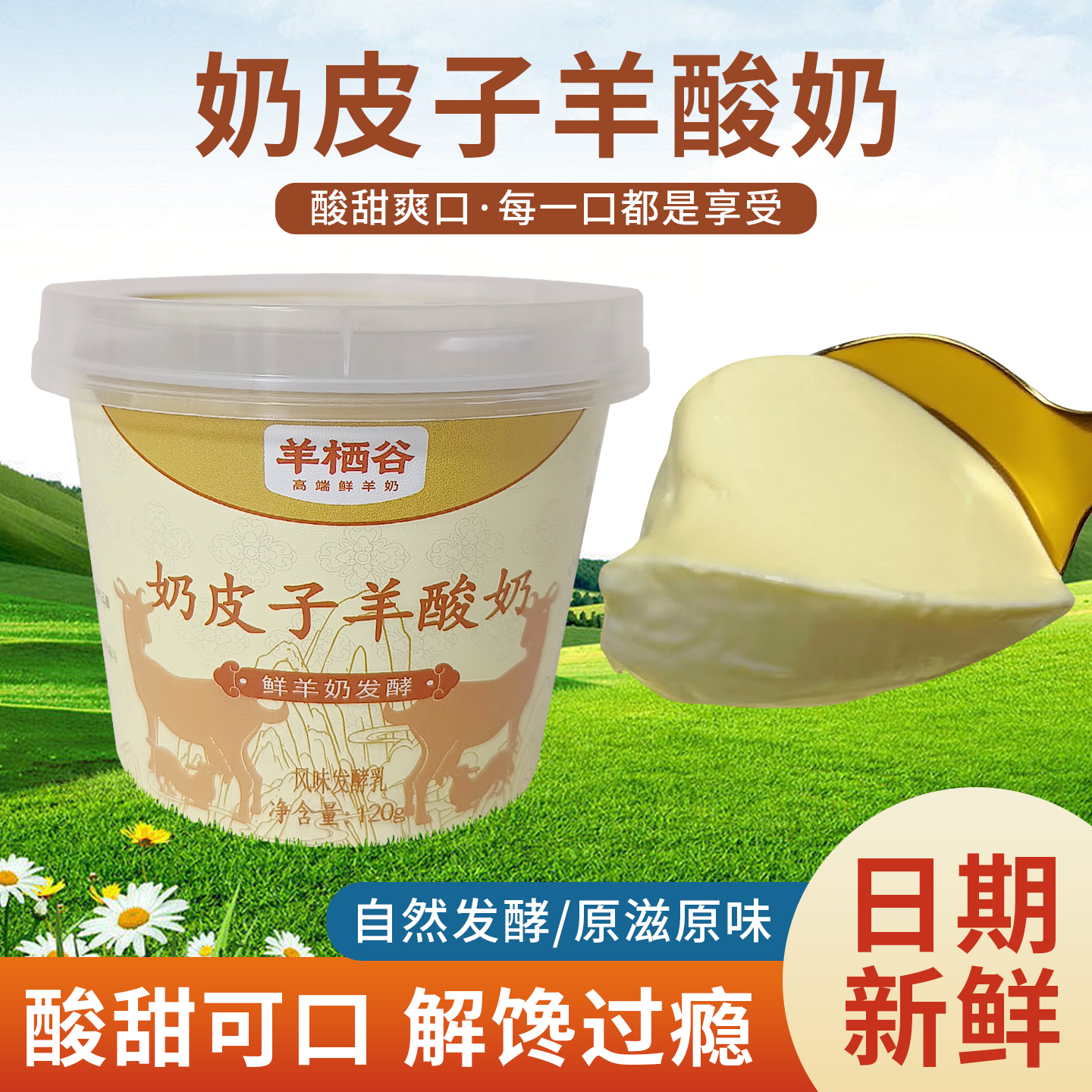 羊栖谷原味酸羊奶120g*6桶活菌羊酸奶成人儿童营养早餐奶制品推荐