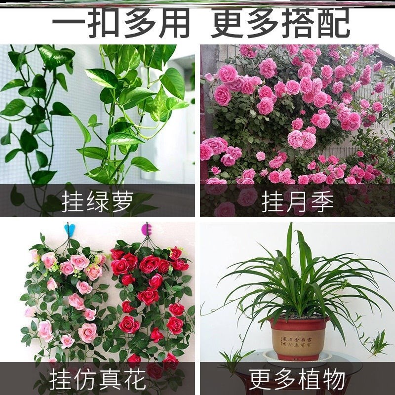 爬山虎蔓绿绿色室外草绿萝花架花自粘式固定卡扣罗爬绑卡子藤墙虎
