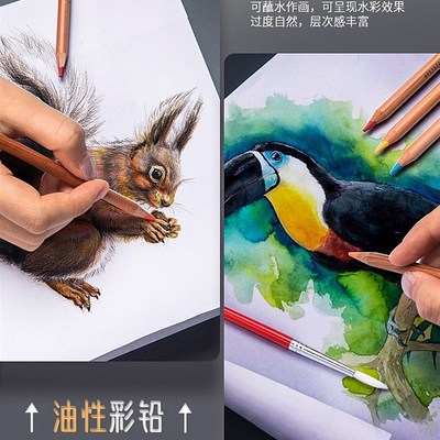 马雷诺阿彩铅油性色色彩铅笔画画水溶性马绘画