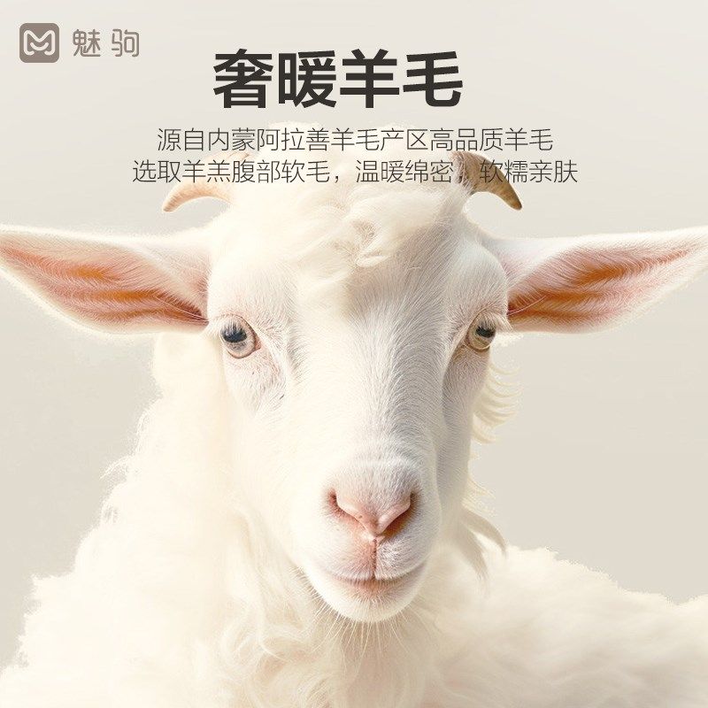 汽车坐垫纯羊毛冬季毛绒卡通三件新款爱女冬天保暖半包座椅,汽车用品/电子/清洗/改装,通用座套/座垫,淘宝优惠券,粉丝福利购,淘宝优惠卷