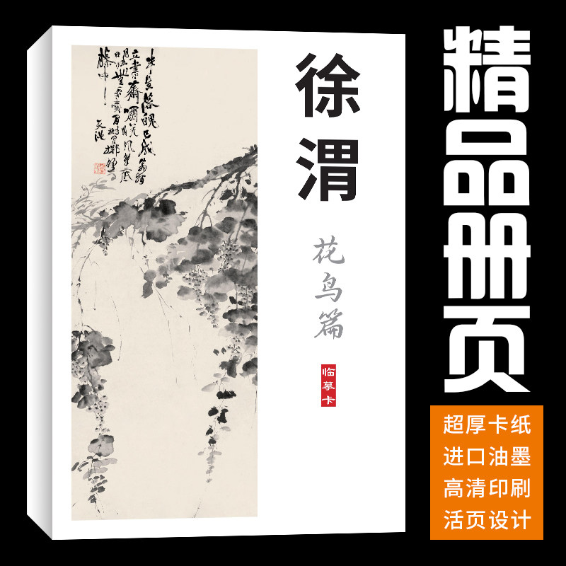 【40张画册页】徐渭花鸟画集册页国画素描临摹卡套装培训艺术高清