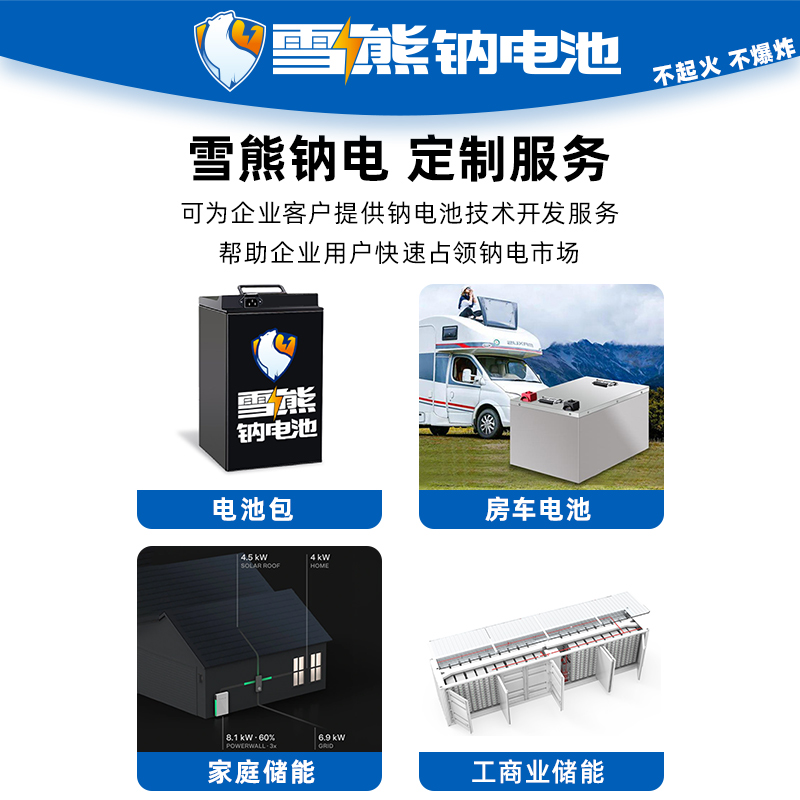 雪熊钠离子电池组平替8~72v锂电动篷车老头乐微轿接孩子三轮四轮