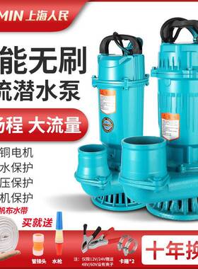 上海人民无0刷4直流PTL潜水泵24V8V6V7伏通用电动电动车专用抽2水