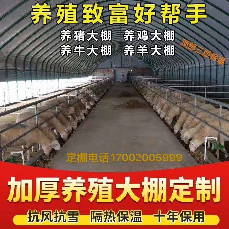 养殖大棚蔬大棚全套养牛厂羊大棚钢管骨架种产植25 32  3水棚菜连