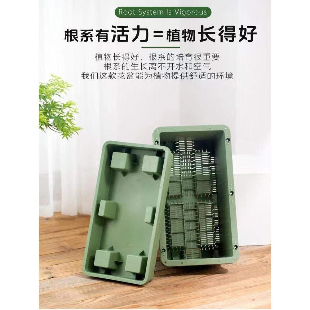 户外阳树台种菜专用箱长方形自盆吸水蔬菜大种植盆草莓RUU盆栽脂
