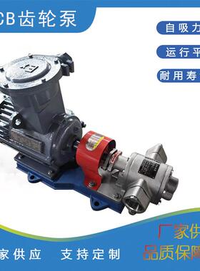 齿轮泵厂家现货供应KCB83.3不锈钢齿轮泵防爆齿轮泵化工泵