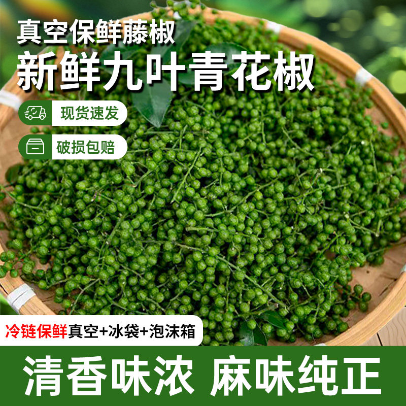 青花椒新鲜青花椒真空包装保鲜花椒藤椒麻椒重庆江津特产青花椒鱼