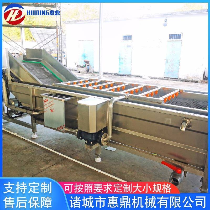 厂家供应果蔬清洗机设备果蔬加工设备全自动冲浪式洗果机
