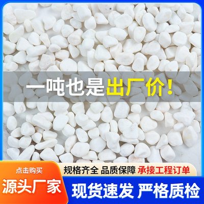 白色鹅卵石厂家园艺盆栽庭院铺路小石头碎石园林枯山水造景白石子