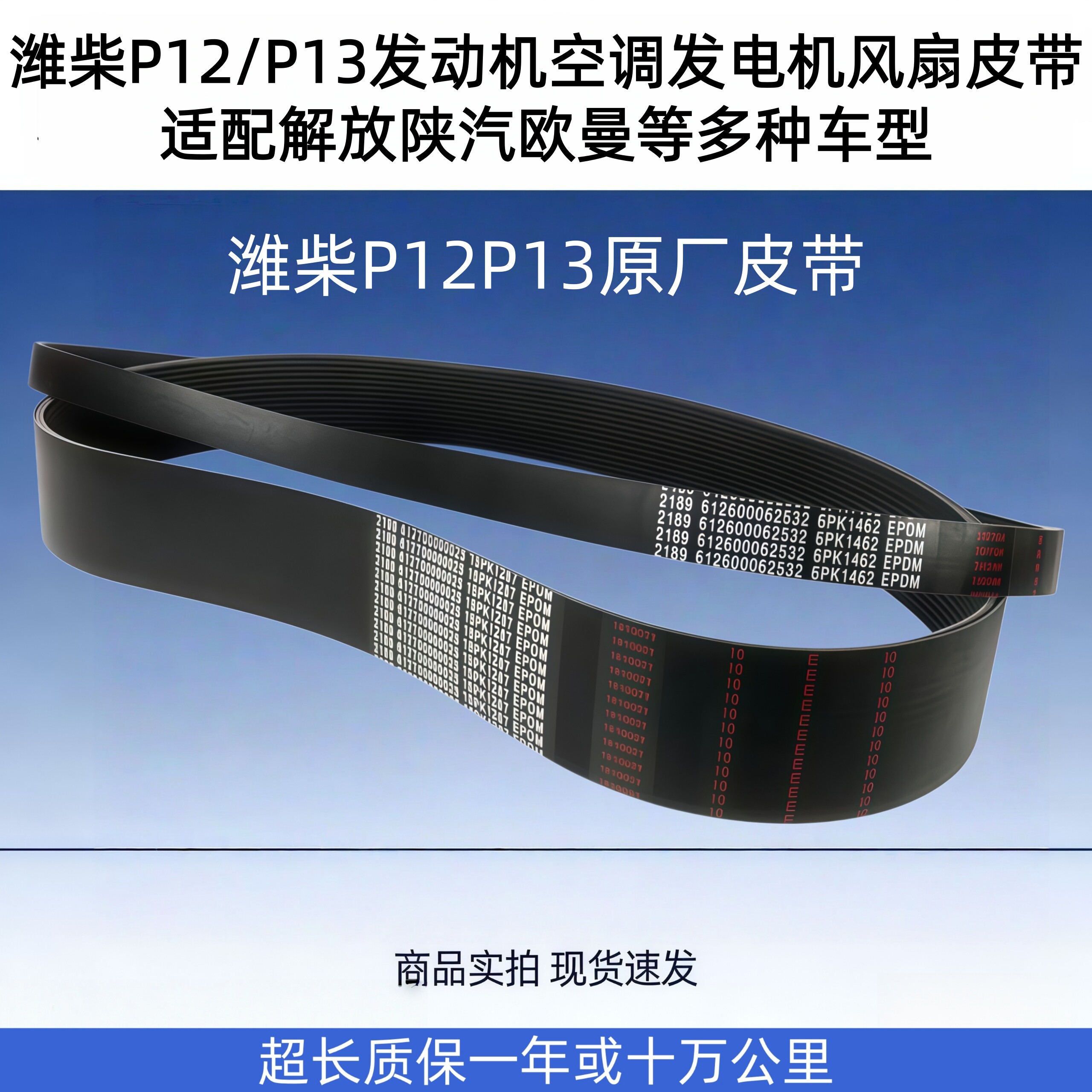 潍柴P12P13发动机风扇发电机皮带图片