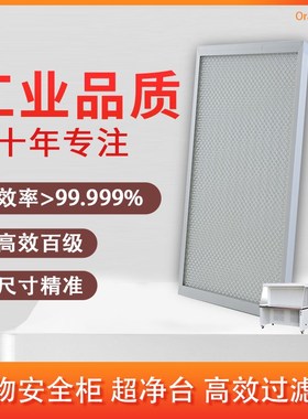 定制生物安全柜 超净工作台 洁净室  Ongei高效网