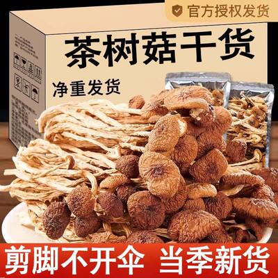 古田茶树菇干货散装新鲜商