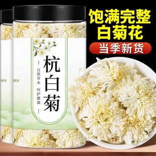 浙江杭白菊花特菊花茶级黄正品搭配山枸杞子泡茶泡水正宗旗舰店