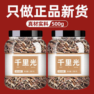 野生千里光中药材 草药 天然 九里明正品九里光 黄花母500克 包邮