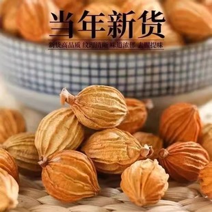 香砂仁香料批发香砂香料川砂仁正宗砂仁粉中药砂仁食用五香料卤料